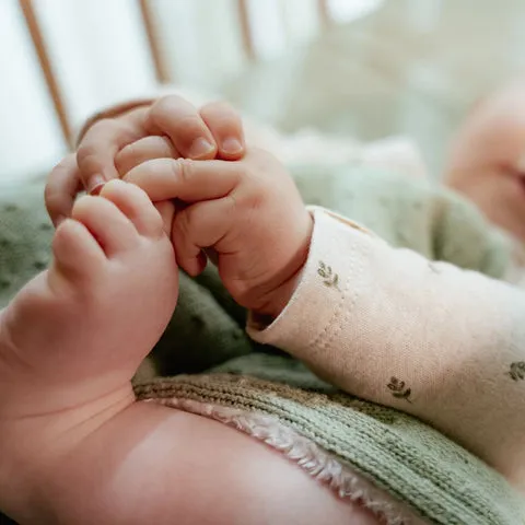 LD-TE14315036_05_large