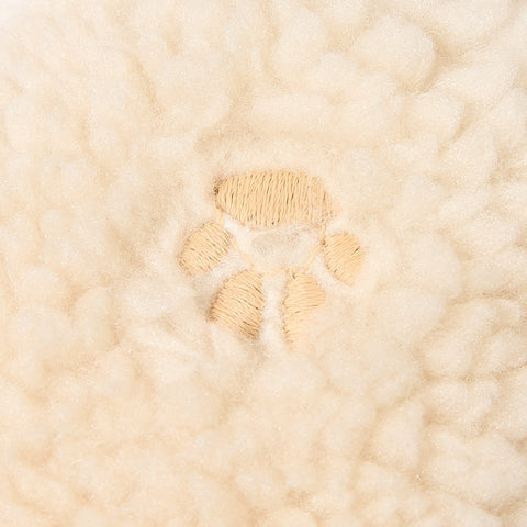 teddy sand paws 07